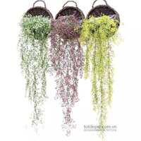 Dây leo chùm rong biển – Cây giả cao cấp