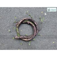 Dây leo giả dây rừng sần lộc cổ điển [Như thật - Dài 170cm] DAYLA-02 TAN