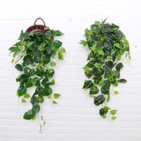 Dây leo nhựa decor tường