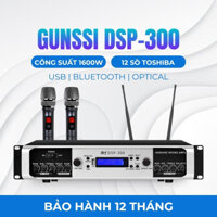 Đẩy liền vang kèm micro Gunssi DSP 300, công suất lớn 1600W, Amply karaoke bluetooth gia đình, âm ly 12 sò chống hú