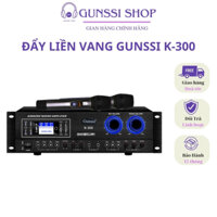 Đẩy liền vang,amply liền vang Gunssi K300, K200 kèm đôi micro.Amly karaoke có bluetooth công suất lớn nghe nhạc siêu hay