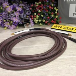 Dây loa Analysis Oval 12/2