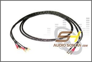 Dây loa Synergistic Core UEF 1