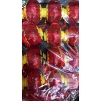 dây lồng đèn 007