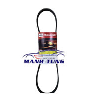 Dây máy phát xe Ford Laser 1.6 - B6BF18381MC