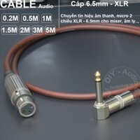 Dây mic 6ly sang canon cái DIY 0.2 đến 5 mét - 6.35mm mono to XLR female audio cable