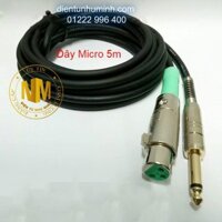 Dây micro Jack canon cái ra 6ly 5M Đen