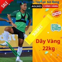 Dây mini Band, Dây cao su kháng lực Aolikes tập chân mông, tại đá bóng sút manh AL3601 3601 - Chính Hãng - Aolikes Vàng 23kg