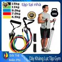 Dây Ngũ Sắc Tập Gym Đa Năng Full Body - Dây Kháng Lực Tập Gym, Dụng Cụ Tập Gym Tại Nhà S05