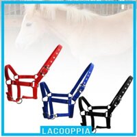 Dây ngựa có thể điều chỉnh Phụ kiện cưỡi ngựa ngoài trời Huấn luyện thể thao di động Equestrian Headstall cho cuộc thi đồng cỏ Trang trại