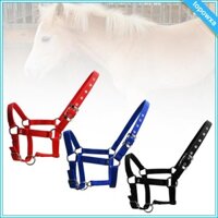 Dây ngựa có thể điều chỉnh Phụ kiện cưỡi ngựa ngoài trời Huấn luyện thể thao di động Equestrian Headstall cho cuộc thi đồng cỏ Trang trại