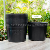 [Dày nhất] 50 chậu nhựa đen C16 trồng cây (40x32cm) lớn nhất