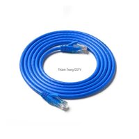 Dây nhảy UTP CAT6 2 mét [bonus]