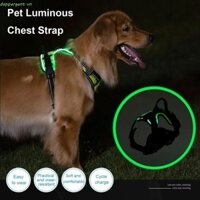 Dây nịt chó LED DAPPERGENT, Dây đeo ngực thú cưng phát sáng nhấp nháy có thể sạc lại, Cổ áo có đệm thoáng khí có thể điều chỉnh Đèn phát sáng cho chó để đi bộ ban đêm