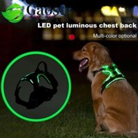 Dây nịt chó LED GAOSU, Dây đeo ngực thú cưng phát sáng có thể điều chỉnh, Áo Vest phát sáng có đệm mềm có thể sạc lại bền bỉ để đi bộ ban đêm