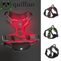 Dây nịt chó LED QUILLAN, Dây đeo ngực thú cưng phát sáng có thể điều chỉnh, Áo Vest phát sáng cổ mềm có thể sạc lại bền bỉ để đi bộ ban đêm