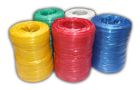 Dây nylon lớn - Việt Nam