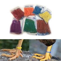 Dây rút đánh dấu, dây thít, dây nhựa, dây lạt và dây nhựa 1000 sợi là sản phẩm vô cùng tiện lợi và đa năng cho nhiều mục