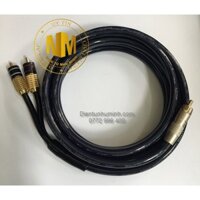 Dây Sub LITON 1 ra 2 ( 3m)