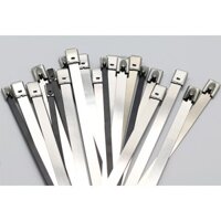 dây thít inox 304 dài 20cm (rộng 4.6 mm x dài 200 mm)