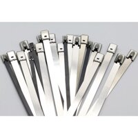 dây thít inox 304 dài 20cm (rộng 4.6 mm x dài 200 mm)