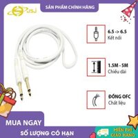 Dây tín hiệu 2 đầu 6 ly (6.5mm) JSJ 4111 dài 1.5m - 5m thiết kết liền mạch sử dụng chất liệu thân thiện với môi trường thân dây mềm mại và bền truyền tải tín hiệu ổn định mượt mà chất lượng âm thanh gần với nguyên bản