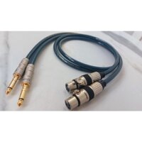 Dây tín hiệu Canon cái ra 6 ly loại tốt (BH 12th) - Dây âm thanh chống nhiễu Audio Phile jack Canon ra 6.5mm