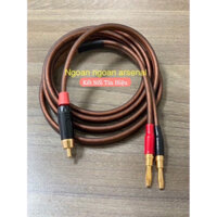 Dây tín hiệu chuyển đổi Jack AV rca ra bắp chuối. Dây jack AV sang bắp chuối cắm từ Âm ly sang loa - RCA ra càng cua