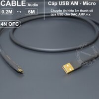 Dây USB A sang Micro USB cho DAC AMP Chord Mojo Fiio E10K Q1 Mark II Q5S - USB AM to Micro USB cable