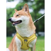 Dây xích chó cho chó nhỏ và vừa, dây đai cho Bichon, dây xích đi dạo kiểu vest cho chó, dây đai thoáng khí chống bóp cho Shiba Inu