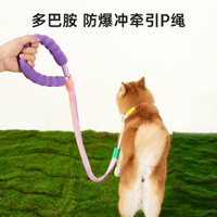 Dây xích chó chống thoát cho chó cỡ vừa Chống nổ Dây xích chó hấp thụ sốc Đồ dùng cho thú cưng để đi bộ và huấn luyện