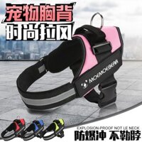 Dây xích chó K9 Samoyed Alaskan Labrador Teddy cho chó vừa lớn nhỏ