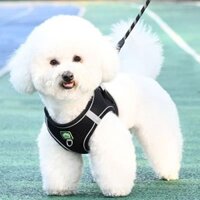 Dây xích chó kiểu vest cho chó nhỏ Bichon Teddy Pomeranian, dây xích chó đi dạo