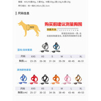 Dây xích cho mèo, dây chống thoát, áo vest đặc biệt cho thú cưng, dây xích cho mèo, dây cho mèo con