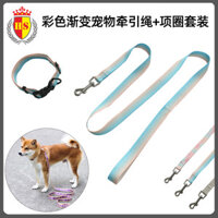 Dây xích chó nhỏ Teddy Bichon Corgi Neck Pet Leash