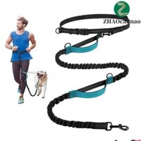Dây xích chó ZHAOCAIMAO Co giãn có thể thu vào Chạy bộ
