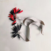 Dây xung điện máy châm cứu (1 cọc ra 2 kim)