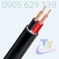 Dây điện Cadivi CVV 2×10 mm2