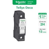 Đế cầu chì 1P SCHNEIDER TeSys DF81, DF101, DF141, DF221