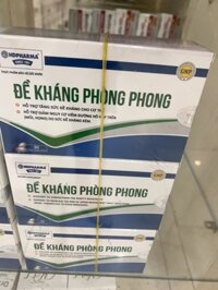 Đề Kháng Phòng Phong