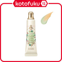 Đế màu ma thuật Shiseido Majolica Majorca (25g)