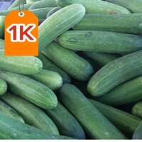 DEAL 1K Hạt giống dưa chuột thái F1 quả lớn giòn ngọt dễ trồng kháng sâu bệnh (gói 200gram, 500gram,1kg)
