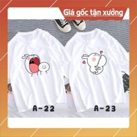 DEAL HOT- [FREESHIP đơn từ 50k] / Áo thun đôi nam nữ mã A22-A23