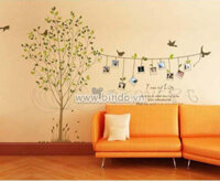 Decal cây photo 1 dán tường phòng khách sau tivi quán đẹp