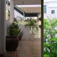 Decal dán kính chống nắng màu khói