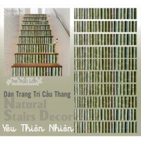 Decal dán trang trí bâc thang Tre Trúc Lớn Stair sticker
