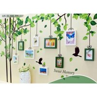 DECAL DÁN TƯỜNG CÂY KHUNG ẢNH, CÓ KEO SẴN THI CÔNG ĐƠN GIẢN