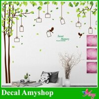 Decal dán tường khung ảnh 7 ⚡ FREESHIP ⚡ Cây xanh khung ảnh trang trí tường DCX014 Decal AmyShop