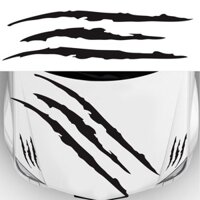 Decal móng vuốt, Bộ 3 Miếng Dán Đề Can Vinyl Màu Đen In Hình Dấu Chân Cho Mui Xe Hơi Bmw E46