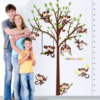 Decal  thước đo chiều cao cây xanh và khỉ